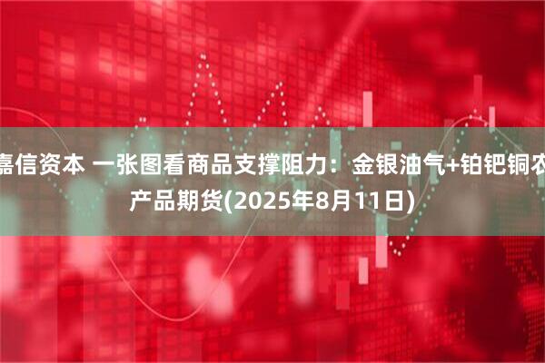 嘉信资本 一张图看商品支撑阻力：金银油气+铂钯铜农产品期货(2025年8月11日)