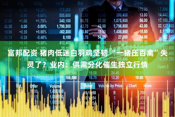 富邦配资 猪肉低迷白羽鸡坚韧 “一猪压百禽”失灵了？业内：供需分化催生独立行情